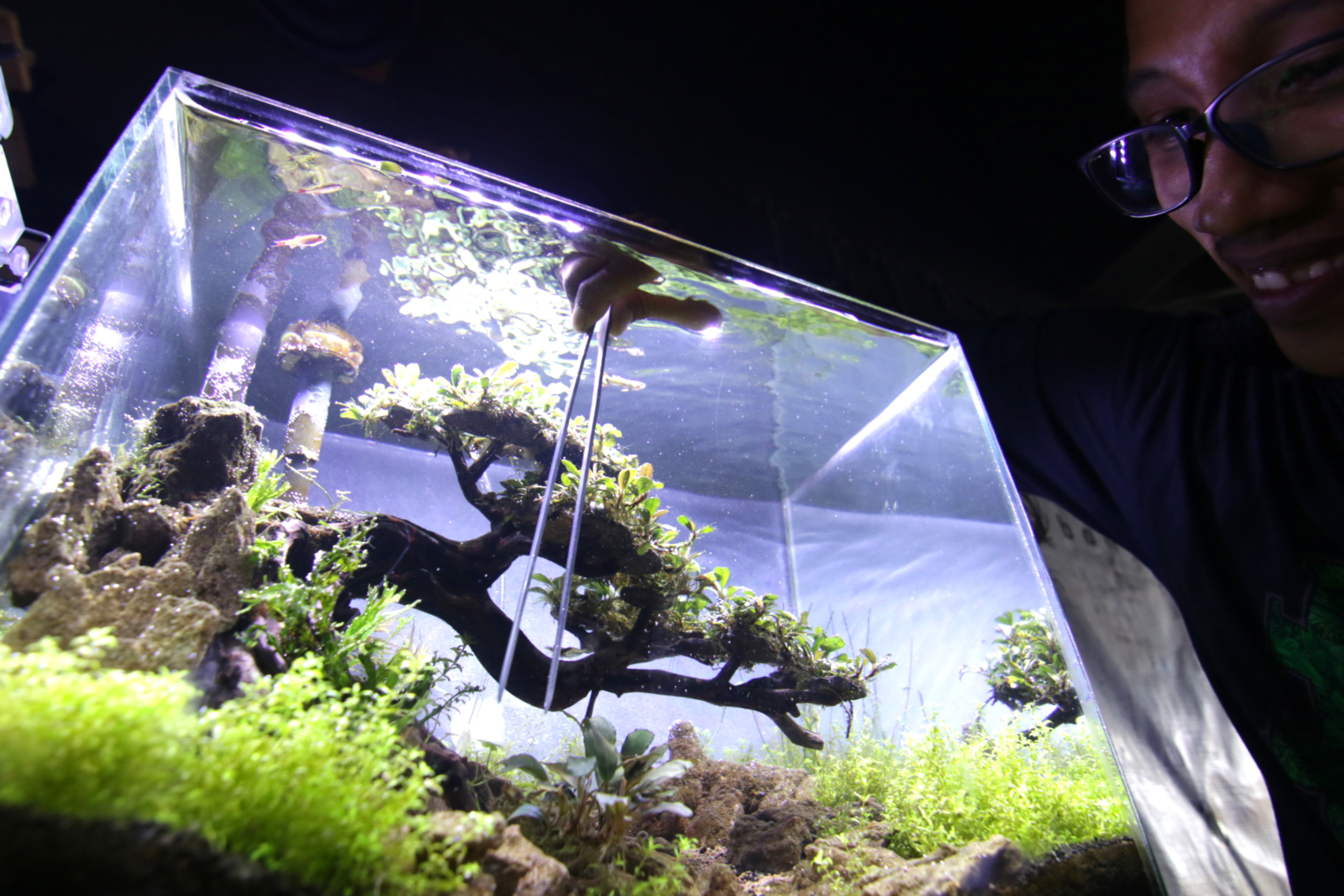 KKP: Aquascape Bisa Kurangi Stres Saat Pandemi