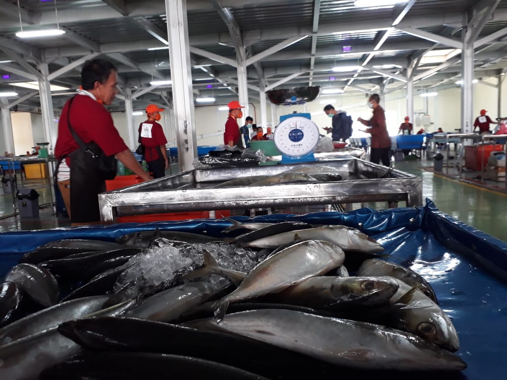 Pasar Ikan Modern Palembang