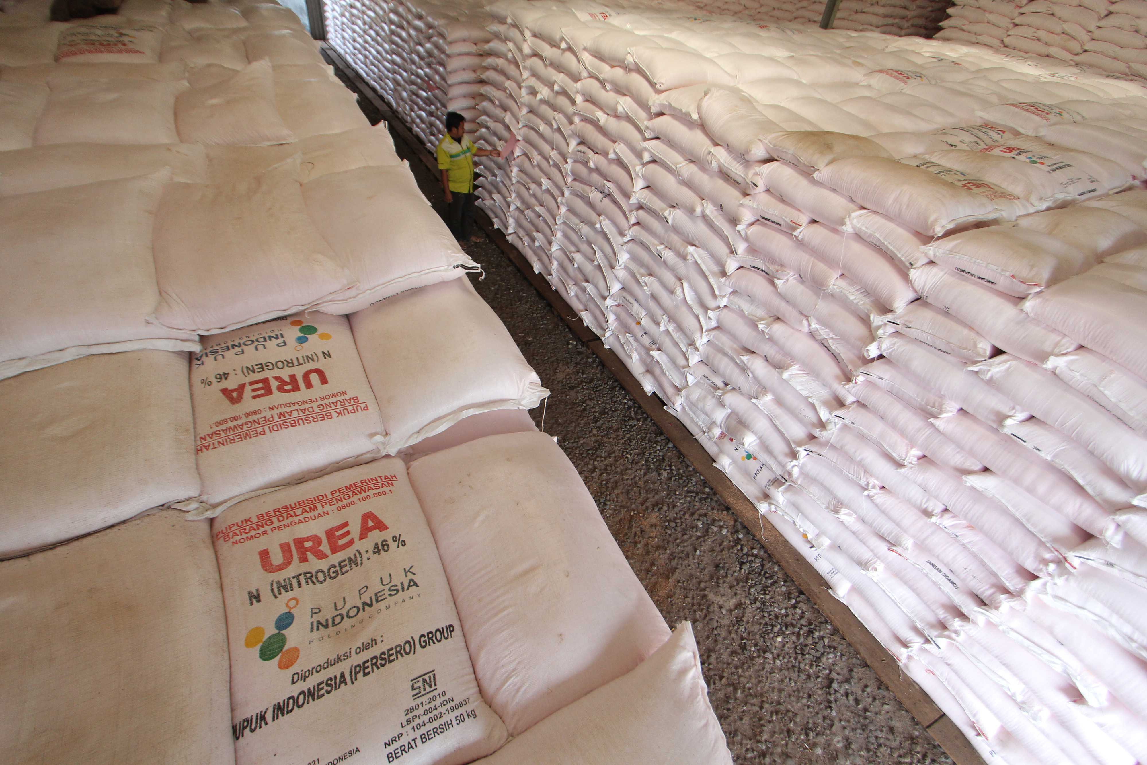 Petugas memeriksa pupuk subsidi yang baru tiba di gudang lini III PT Pupuk Kujang, Jatibarang, Indramayu, Jawa Barat, Senin (7/9/2020). 