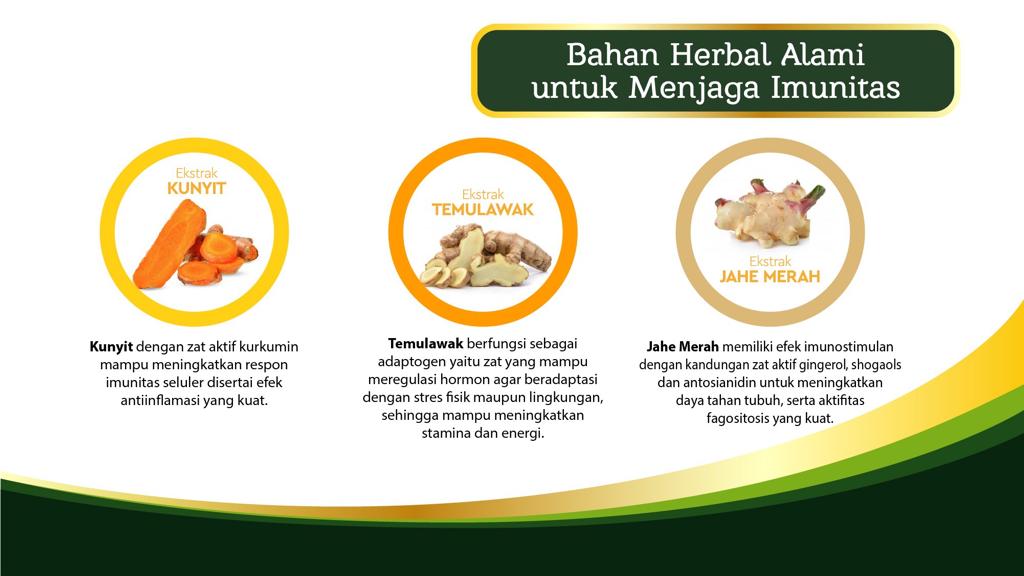 Pentingnya Menjaga Imun Tubuh di Masa Pandemi