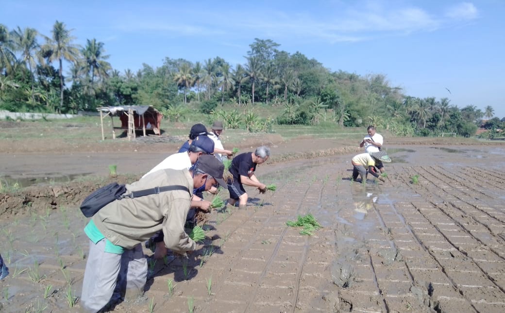 Pemkab Purwakarta menggalakkan ketahanan pangan dengan mengoptimalkan lahan tanah darat untuk ditanami tanaman pangan.