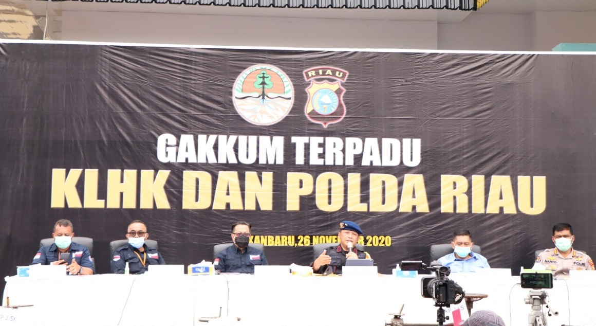 KLHK dan Polda Riau Bongkar Belasan Sawmill Kayu Ilegal di Kampar