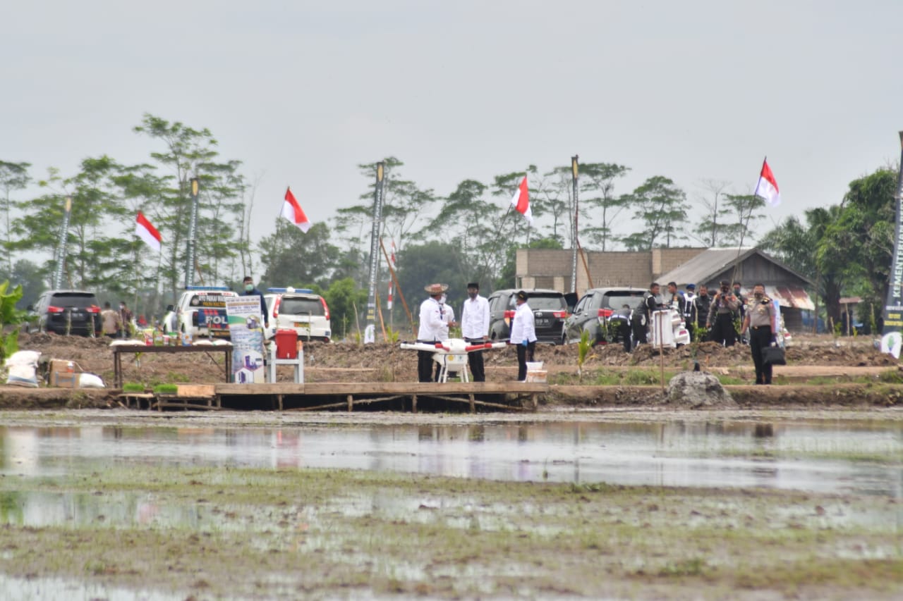 Presiden RI Joko Widodo saat meninjau food estate di Kabupaten Pulang Pisau, Kalimantan Tengah, Kamis (8/7/2020)