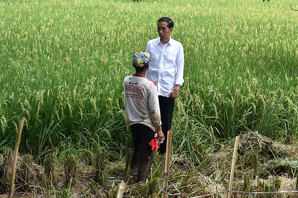 Presiden Joko Widodo berbincang dengan petani. 