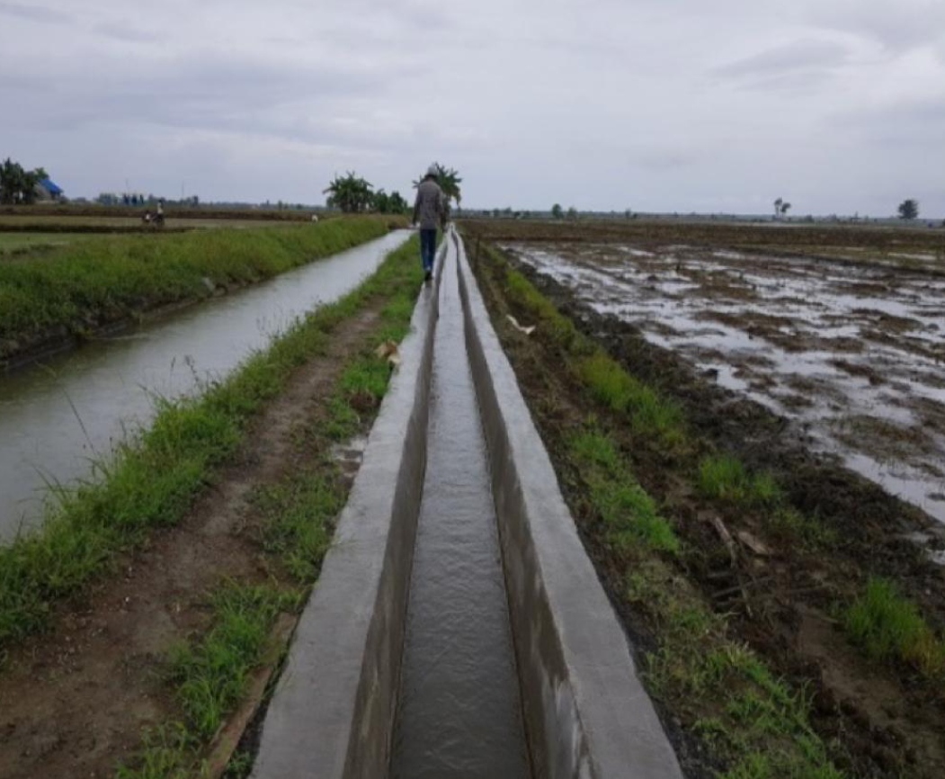 Menteri Pertanian Syahrul Yasin Limpo menyambut baik perbaikan irigasi. 