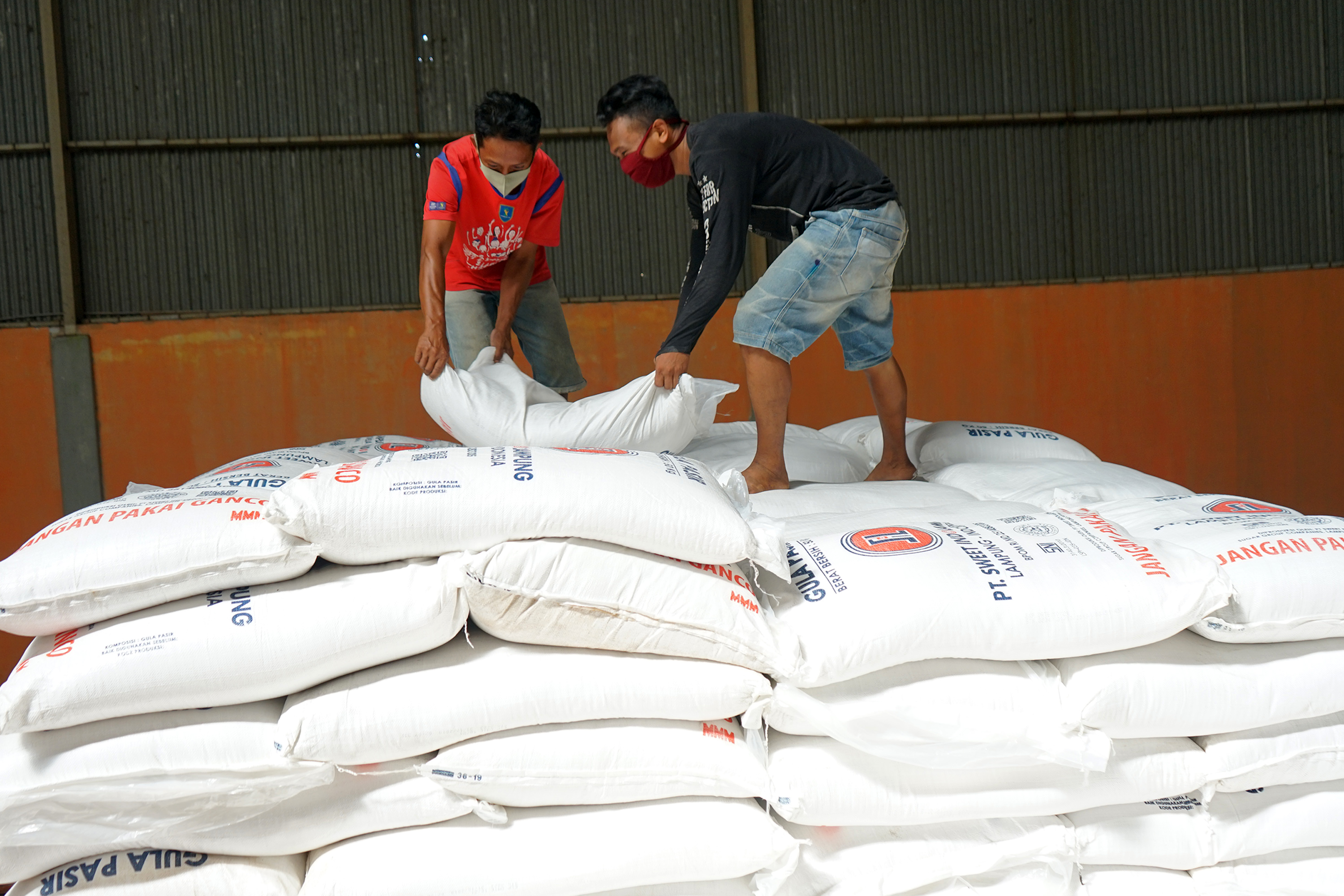 Stok gula nasional masih dihitung
