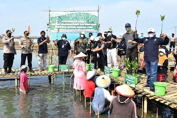 Wujudkan Padat Karya Penanaman Mangrove untuk Bantu PEN