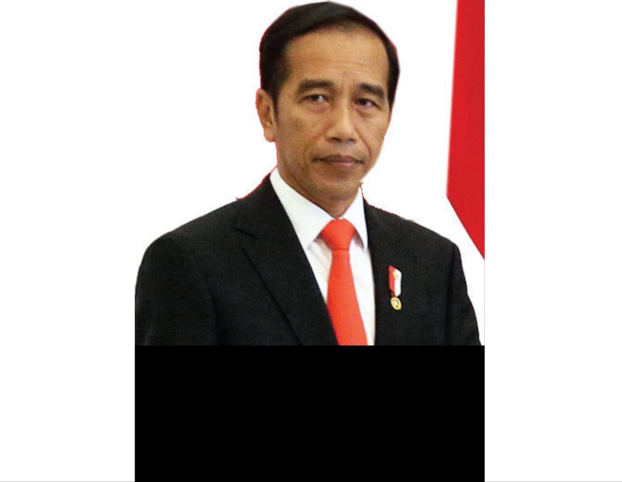 Presiden Joko Widodo