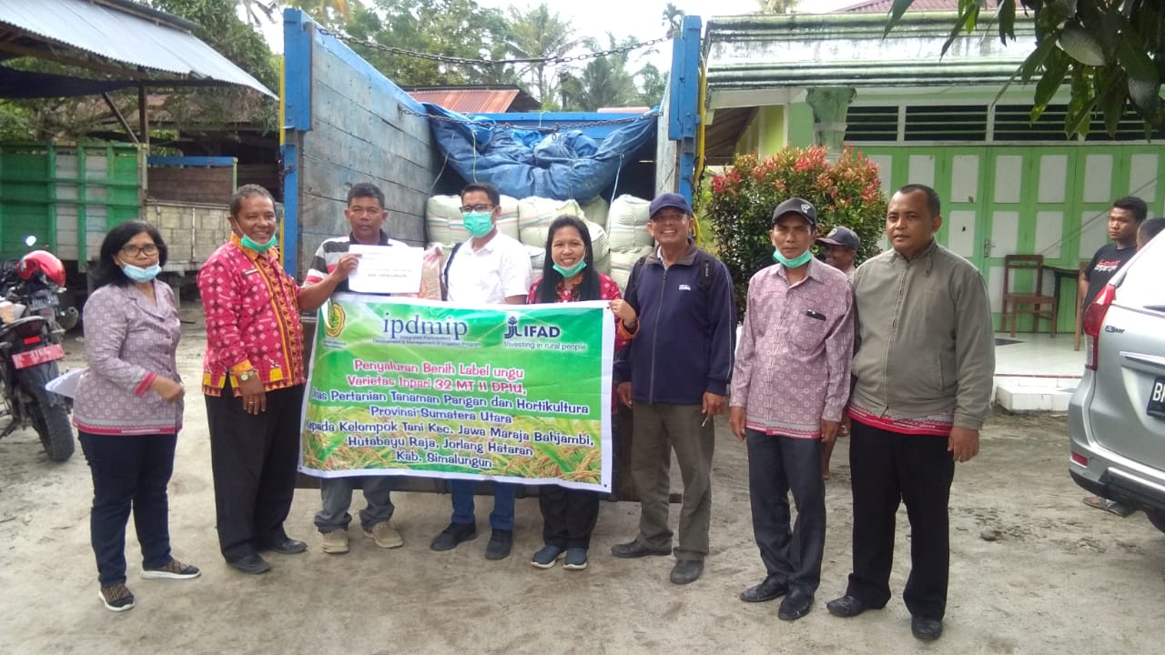 Para petani di Kabupaten Simalungun, Sumatra Utara, memanfaatkan program IPDMIP untuk mencetak petani penangkar benih.