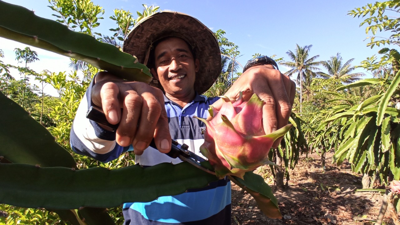 Peran Internet dalam Perekonomian di Luwuk Banggai