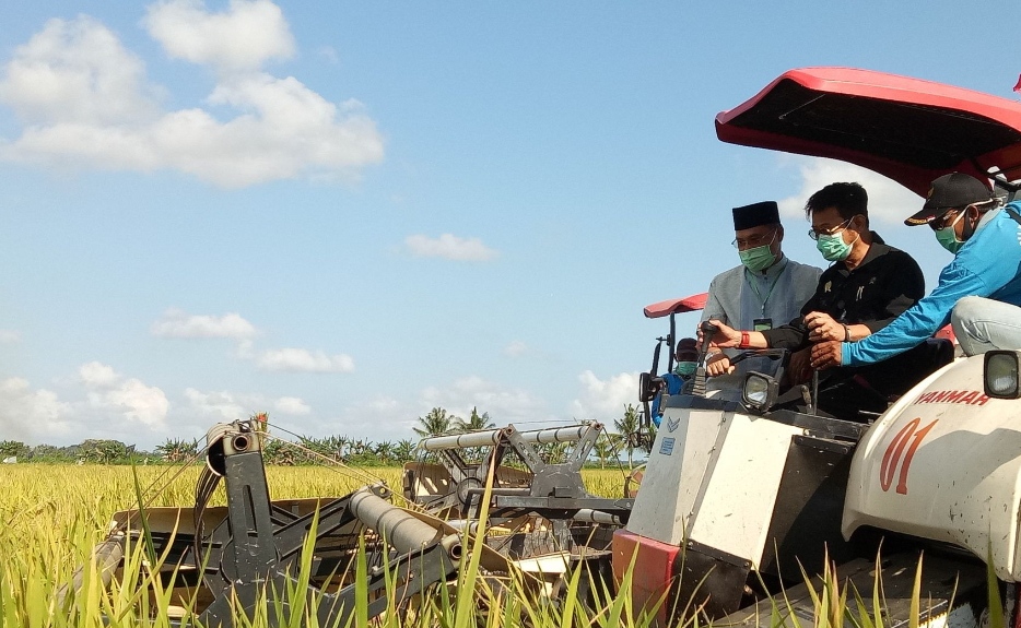 Menteri Pertanian Syahrul Yasin Limpo. 