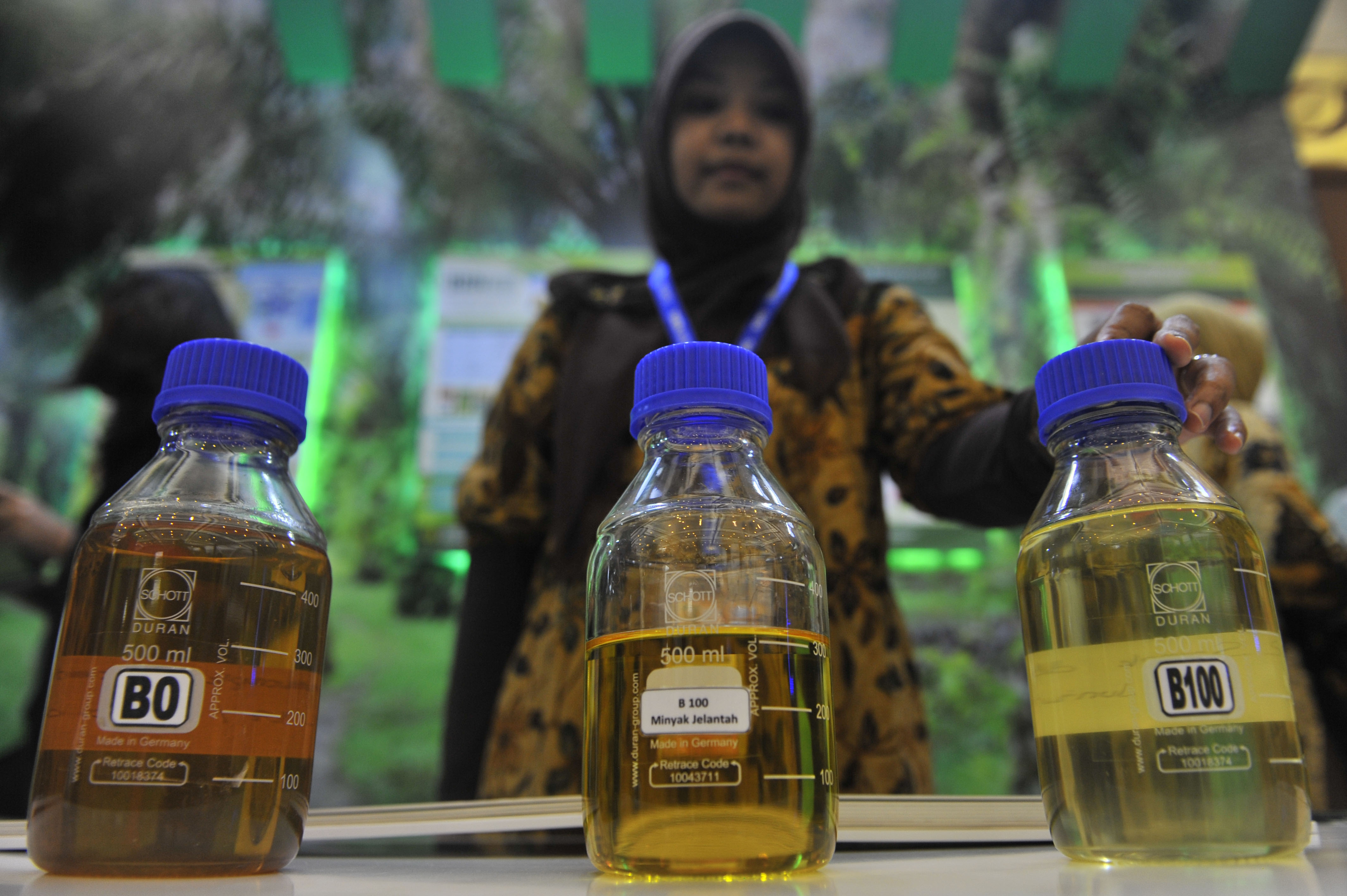 Ilustrasi Energi terbarukan dari kelapa sawit