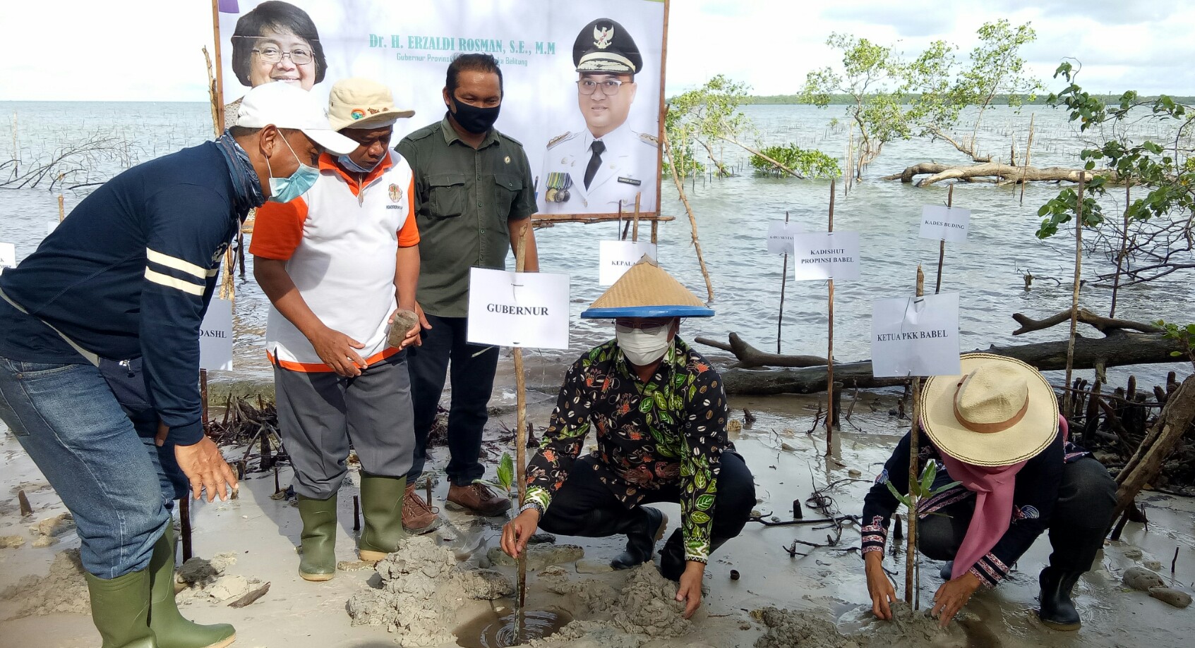 Penanaman mangrove program PEN diharap tingkatkan perekonomian masyarakat.