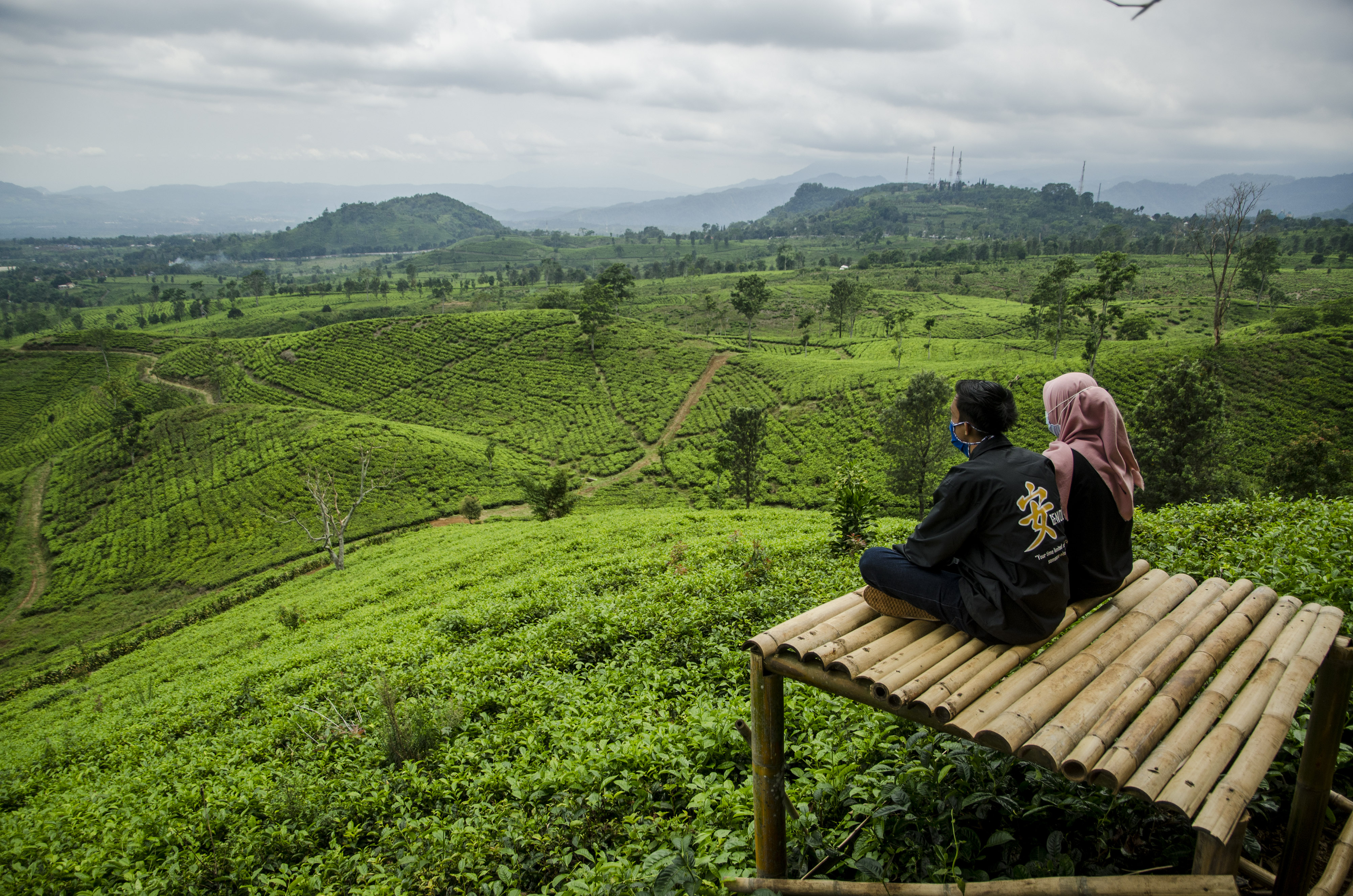 Waga menikmati pemandangan kebun teh di Bukit Sangtiong, Ciater, Kabupaten Subang, Jawa Barat.