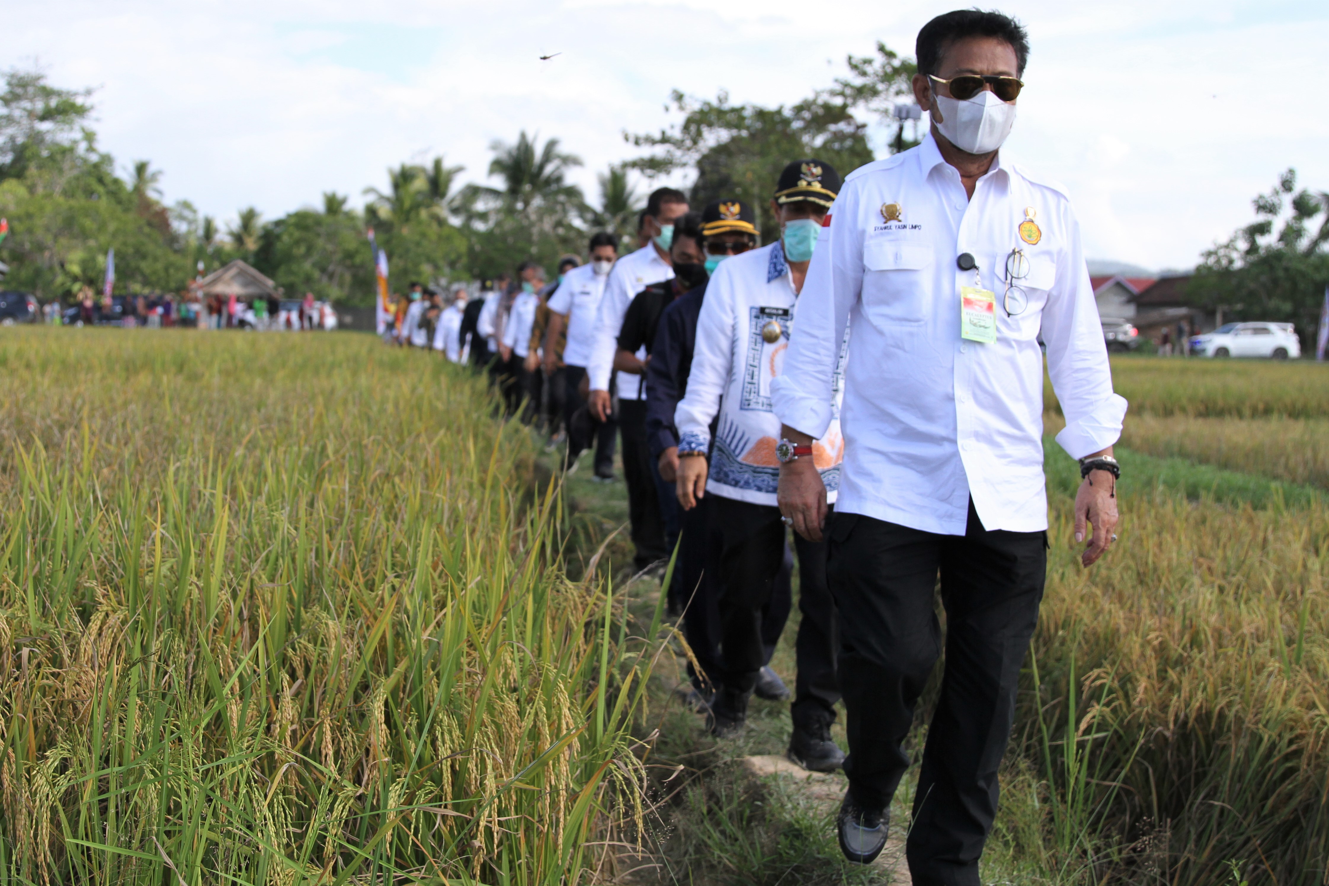 Menteri Pertanian Syahrul Yasin Limpo (depan) mengunjungi lokasii panen raya padi di Kecamatan Konda, Konawe Selatan