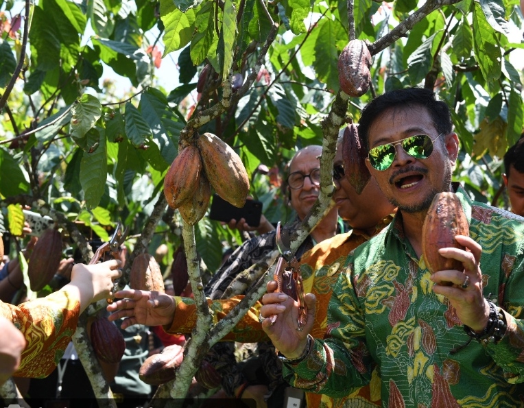 Menteri Pertanian Syahrul Yasin Limpo. 