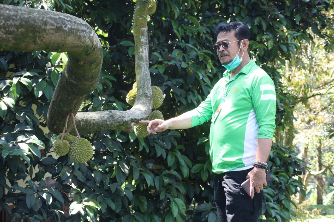 Mentan Syahrul Yasin Limpo saat mengunjungi perkebunan durian di Kota Bogor, Jawa Barat.