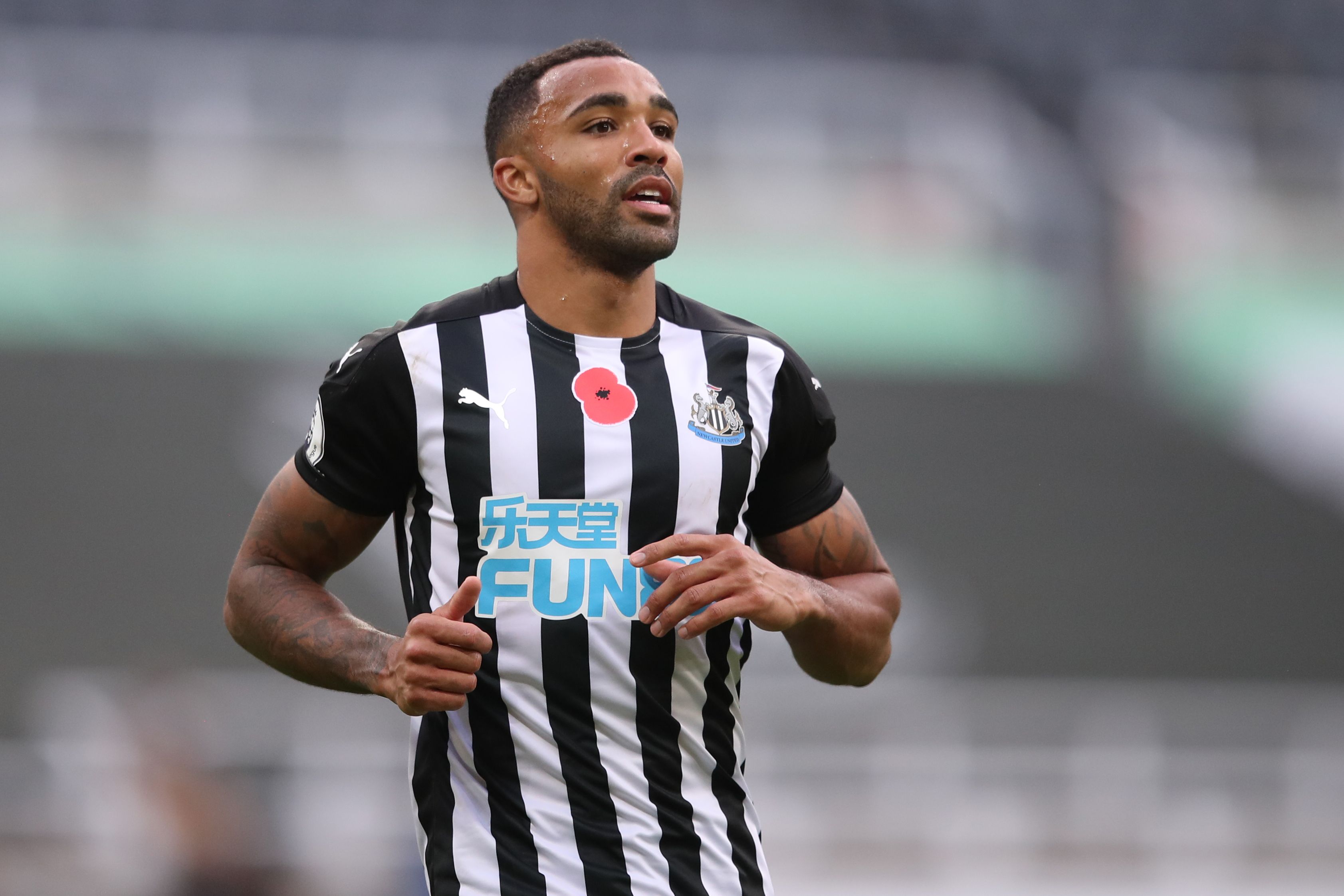 Callum Wilson Berpeluang Bela Newcastle Kontra Palace