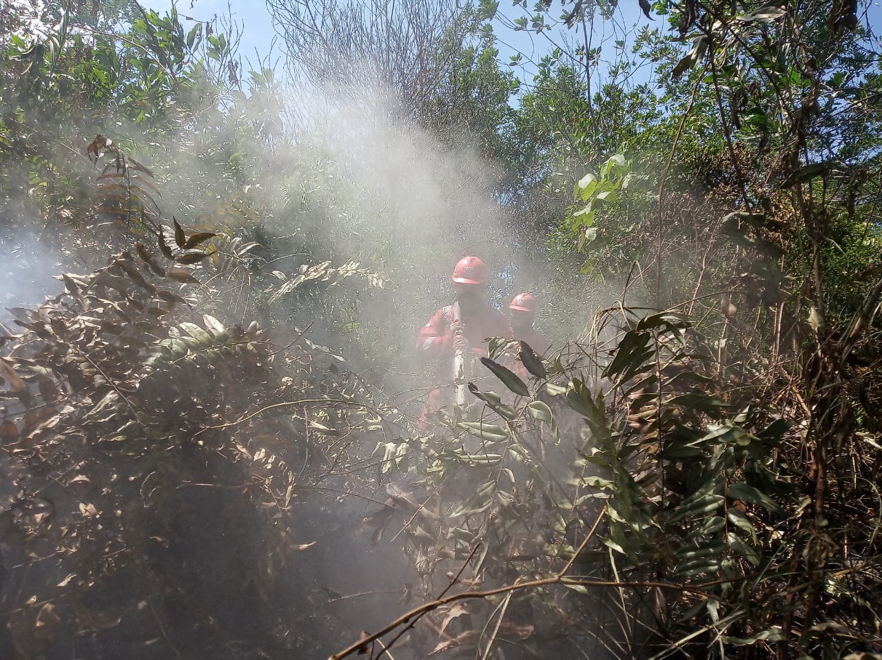 Petugas sedang memadamkan api di lahan yang terbakar di Riau beberapa waktu lalu.