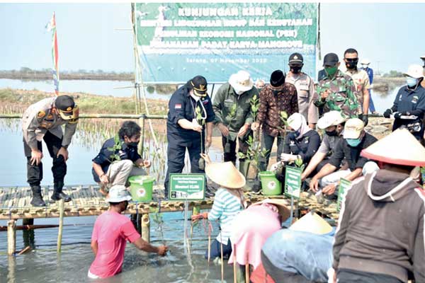 Menteri Lingkungan Hidup dan Kehutanan (LHK), Siti Nurbaya melakukan penanaman mangrove bersama masyarakat