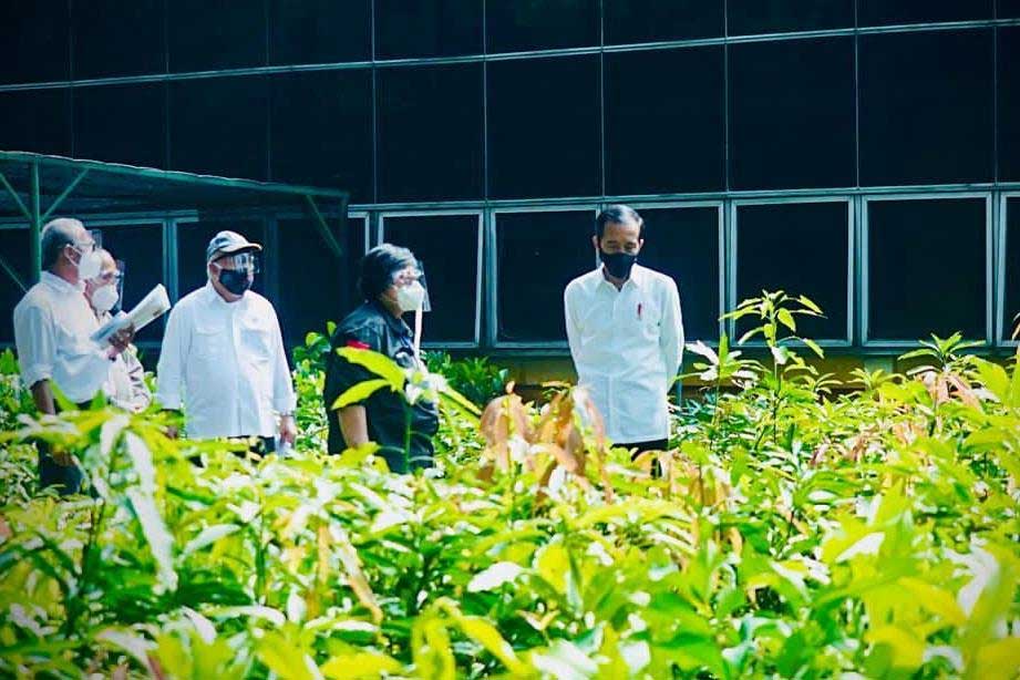  Presiden Joko Widodo meninjau Pusat Sumber Benih dan Persemaian Rumpin 