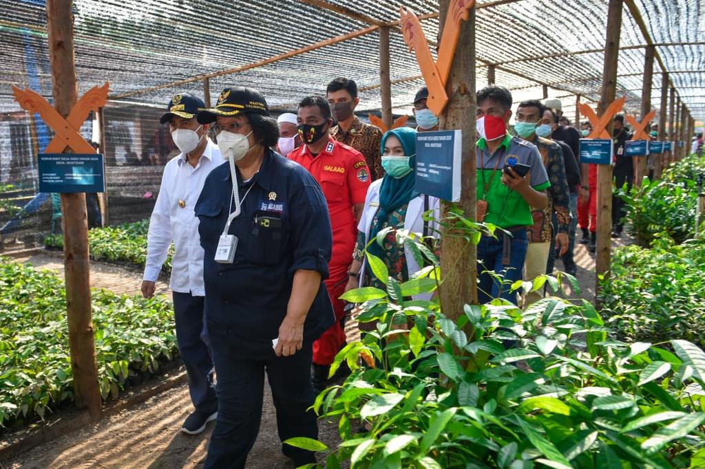 Menteri LHK Siti Nurbaya mengunjungi dan meresmikan langsung KBD yang ada di Desa Muktisari, Tapung, Kampar, Riau, Jumat (13/11/20).