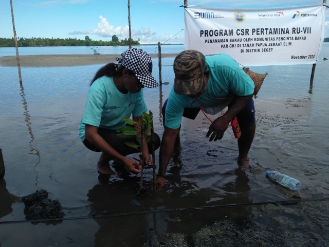 Kegiatan tanam bakau di Distrik Seget, Kabupaten Sorong, Papua Barat.