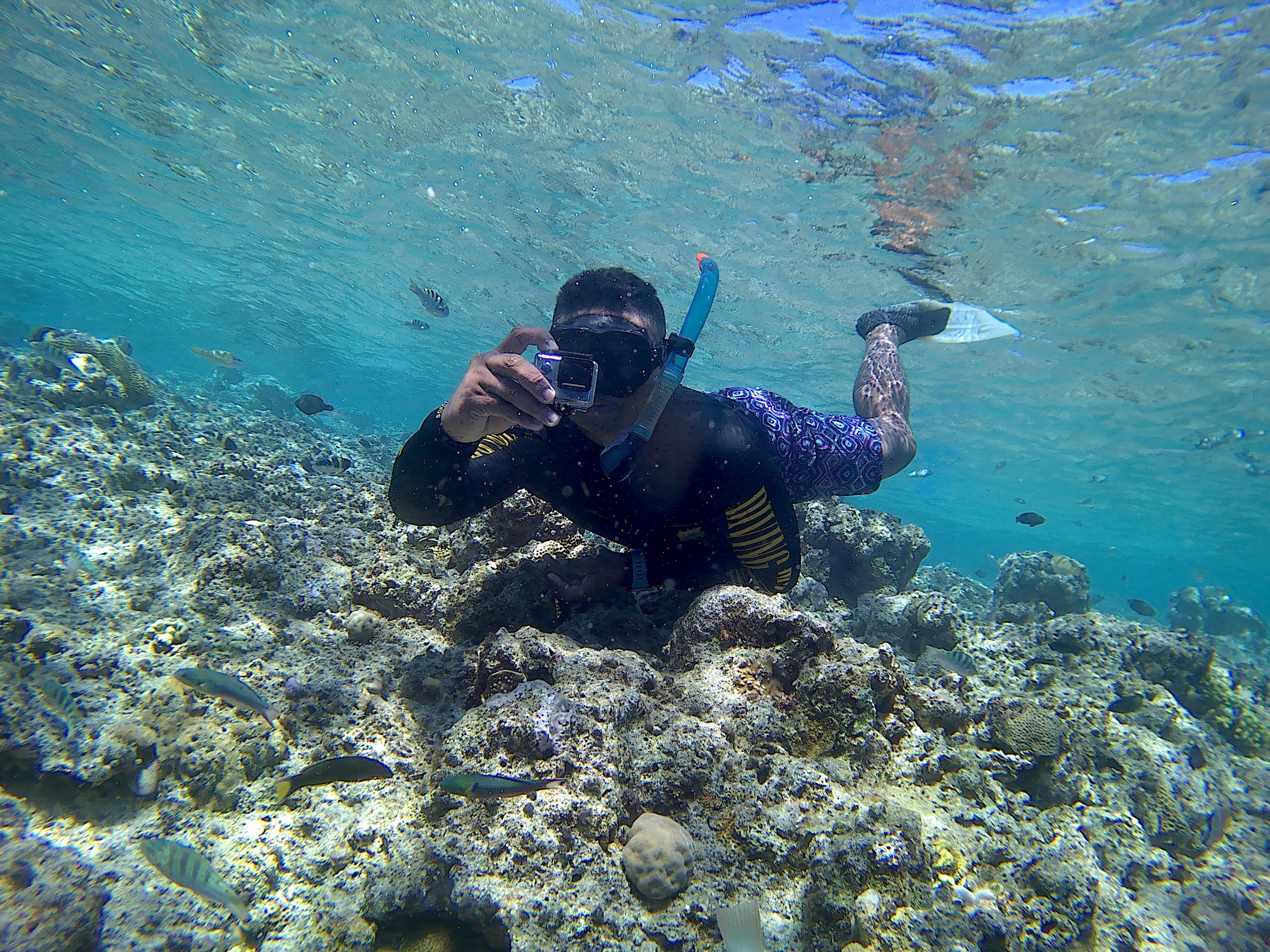  Kemenhub Bangun 4 Kapal Wisata di Labuan Bajo dan Bunaken