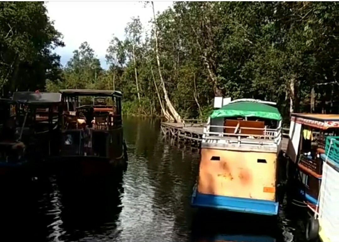 Dermaga Taman Nasional Tanjung Putting, Kalimantan Tengah
