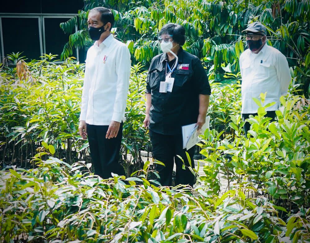 Menteri LHK Siti Nurbaya mendampingi Presiden Joko Widodo ketika mengunjungi Pusat Perbenihan di Rumpin, Kabupaten Bogor, Jawa Barat.