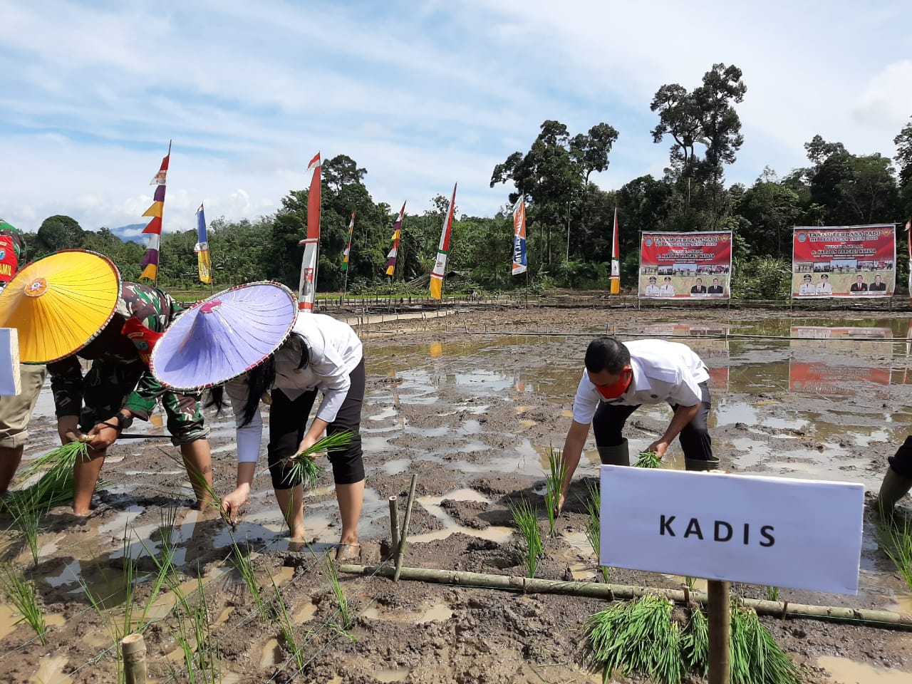  Tanam perdana padi varietas unggul Inpari 42 di Desa Serimbu, Kecamatan Air Besar, Kabupaten Landak, Kalimantan Barat.