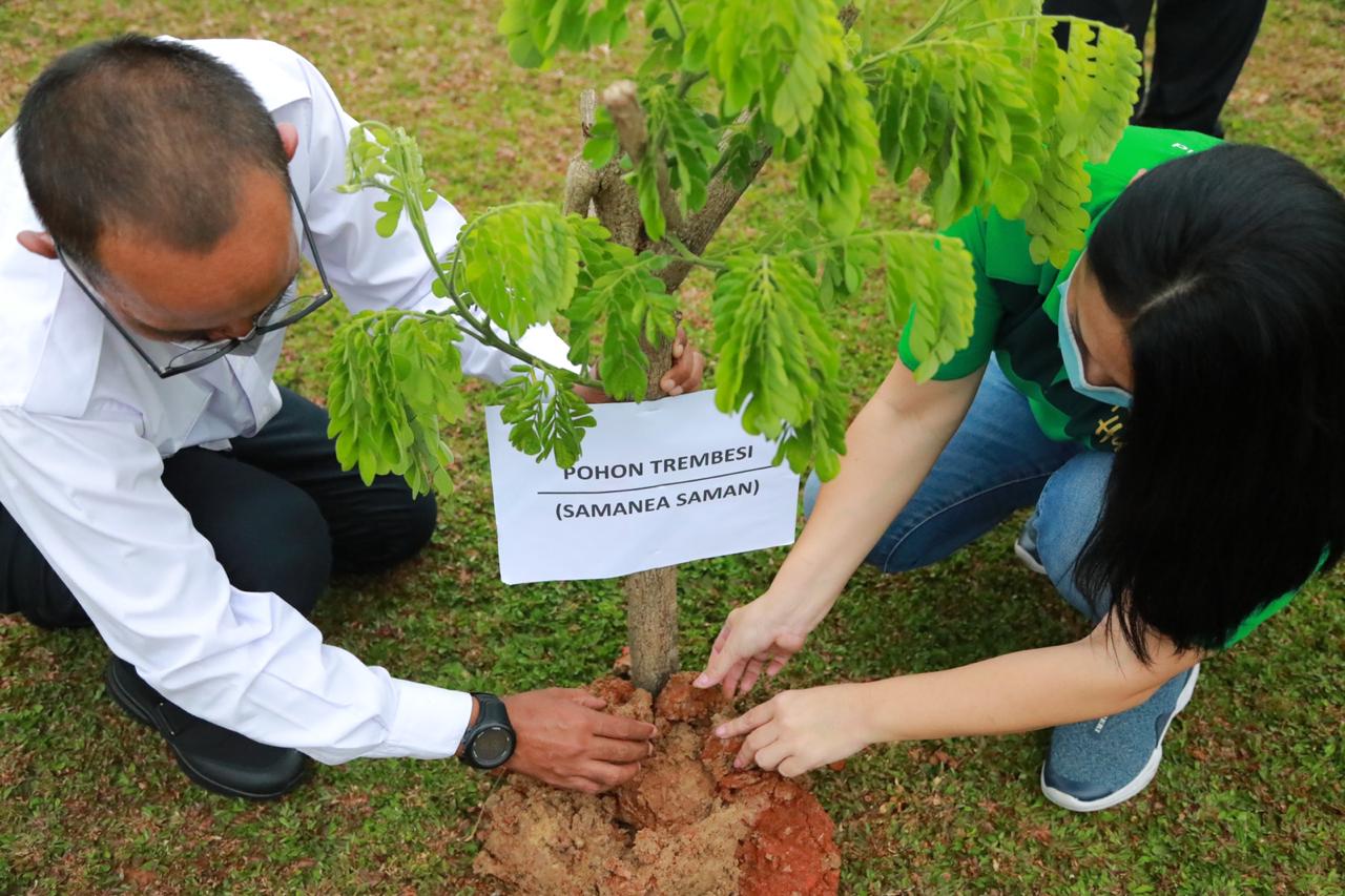 Penanaman pohon trembesi.