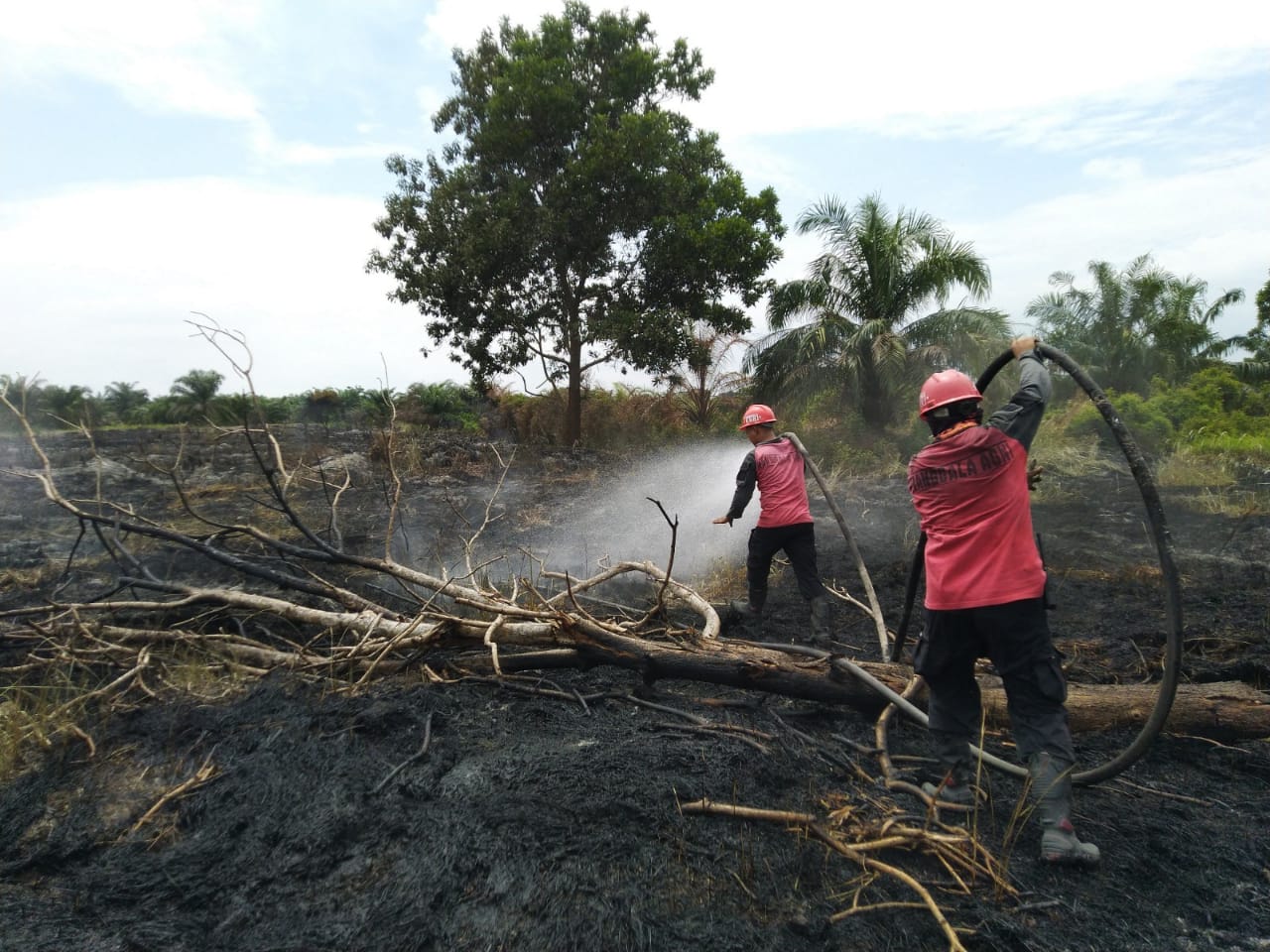 Pola Pengendalian Karhutla Dinilai Perlu Diperbaiki