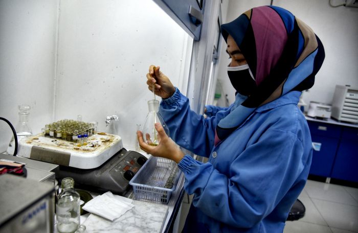 Ilustrasi : Penelitian obat Covid-19 oleh LIPI.  