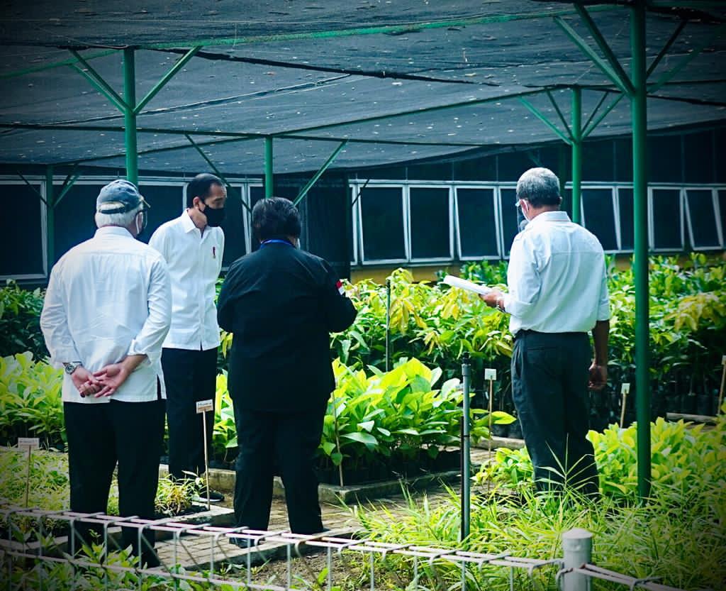 Presiden Joko Widodo meninjau Pusat Sumber Benih dan Persemaian Rumpin 