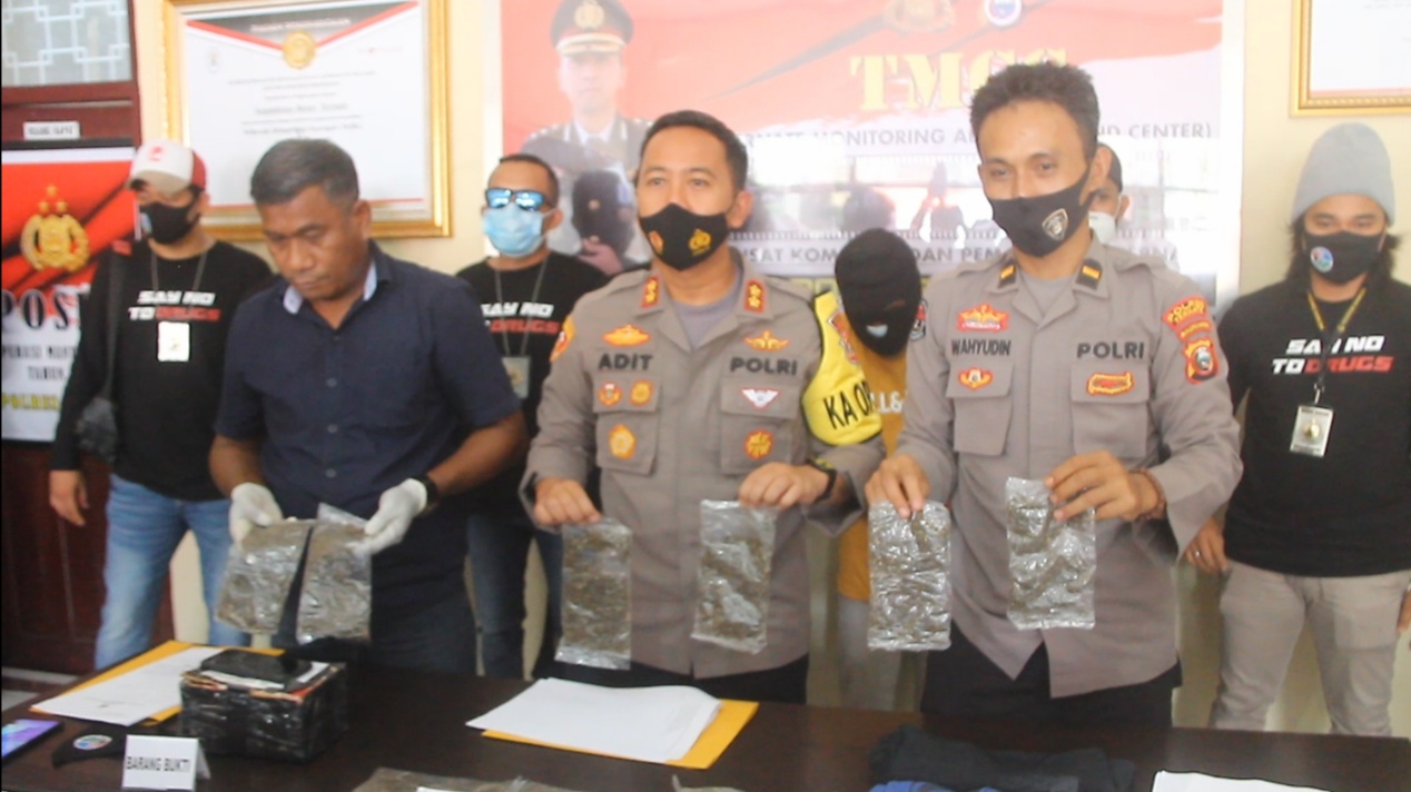 Polres Ternate menunjukkan barang bukti ganja yang diambil oleh pegawai Lapas Perempuan dan Anak, Selasa (24/11/2020).