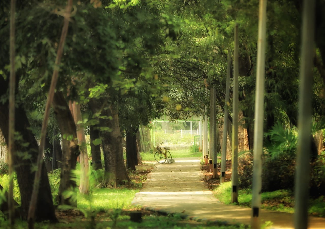 Area greenbelt kawasan Kemayoran yang bisa mengurangi polusi di Jakarta.