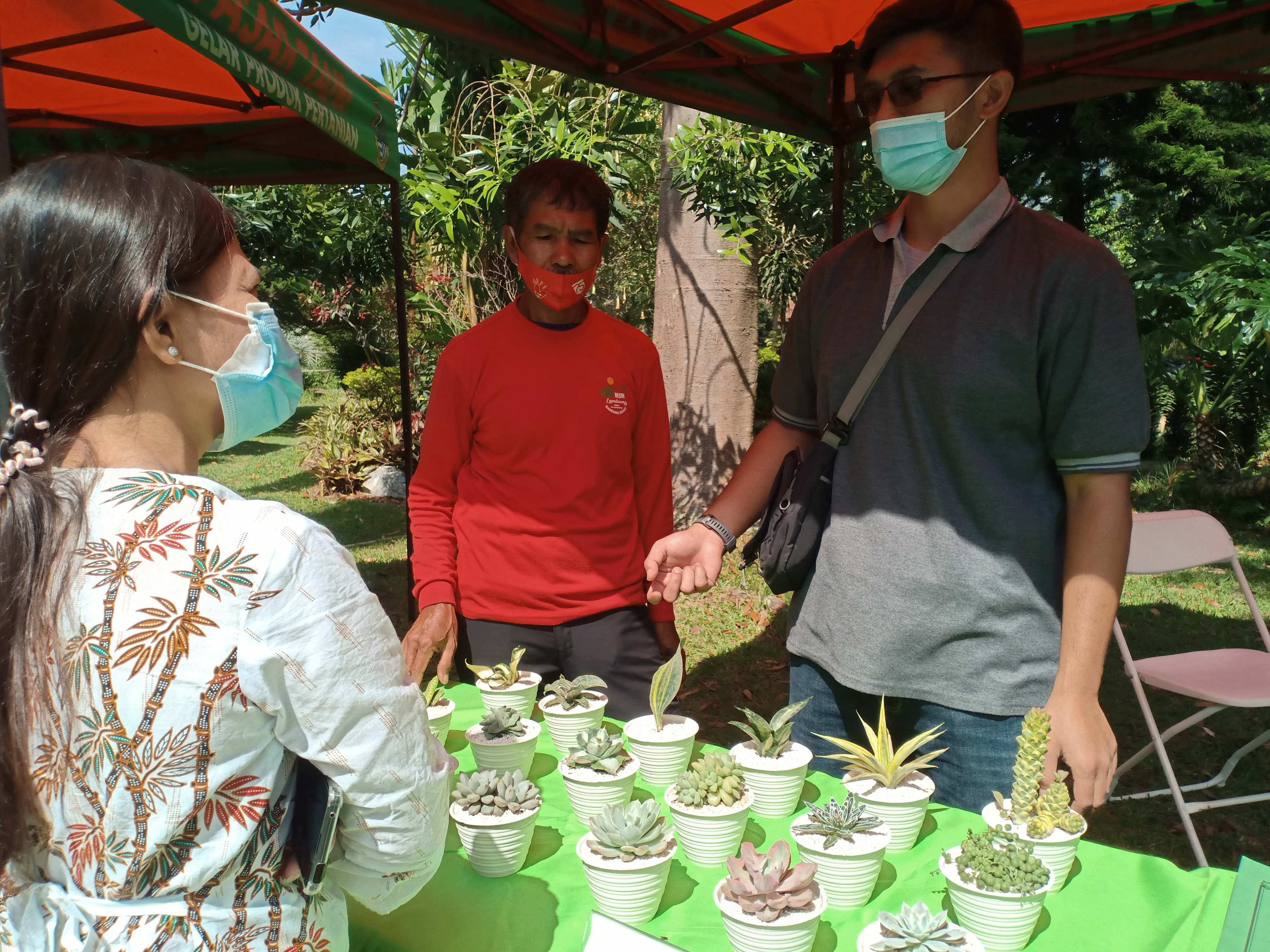 Pangsa pasar kaktus sukulen tak terpengaruh pandemi Covid-19. Bahkan, penjualan kaktus telah diekspor ke berbagai negara.