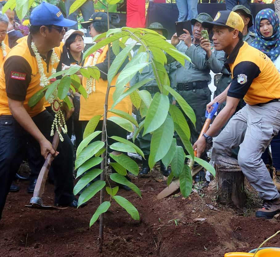 PROGRAM REVOLUSI HIJAU: Gubernur Kalimantan Selatan (Kalsel) Sahbirin Noor (kiri) dan Kepala Dinas Kehutanan Kalsel Hanif Faisol Nurofiq  