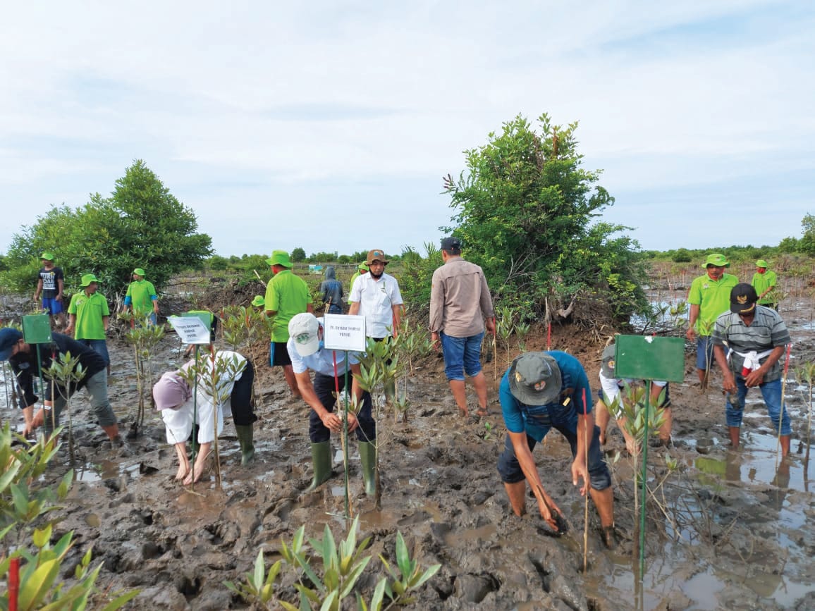 KLHK menjalankan program Pemulihan Ekonomi Nasional (PEN) melalui program padat karya penanaman mangrove.