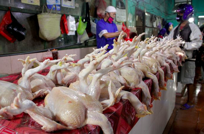 Pedagang ayam potong di Pasar Toddopuli, Makassar melayani pembeli 