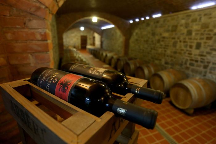 ilustrasi minuman beralkohol