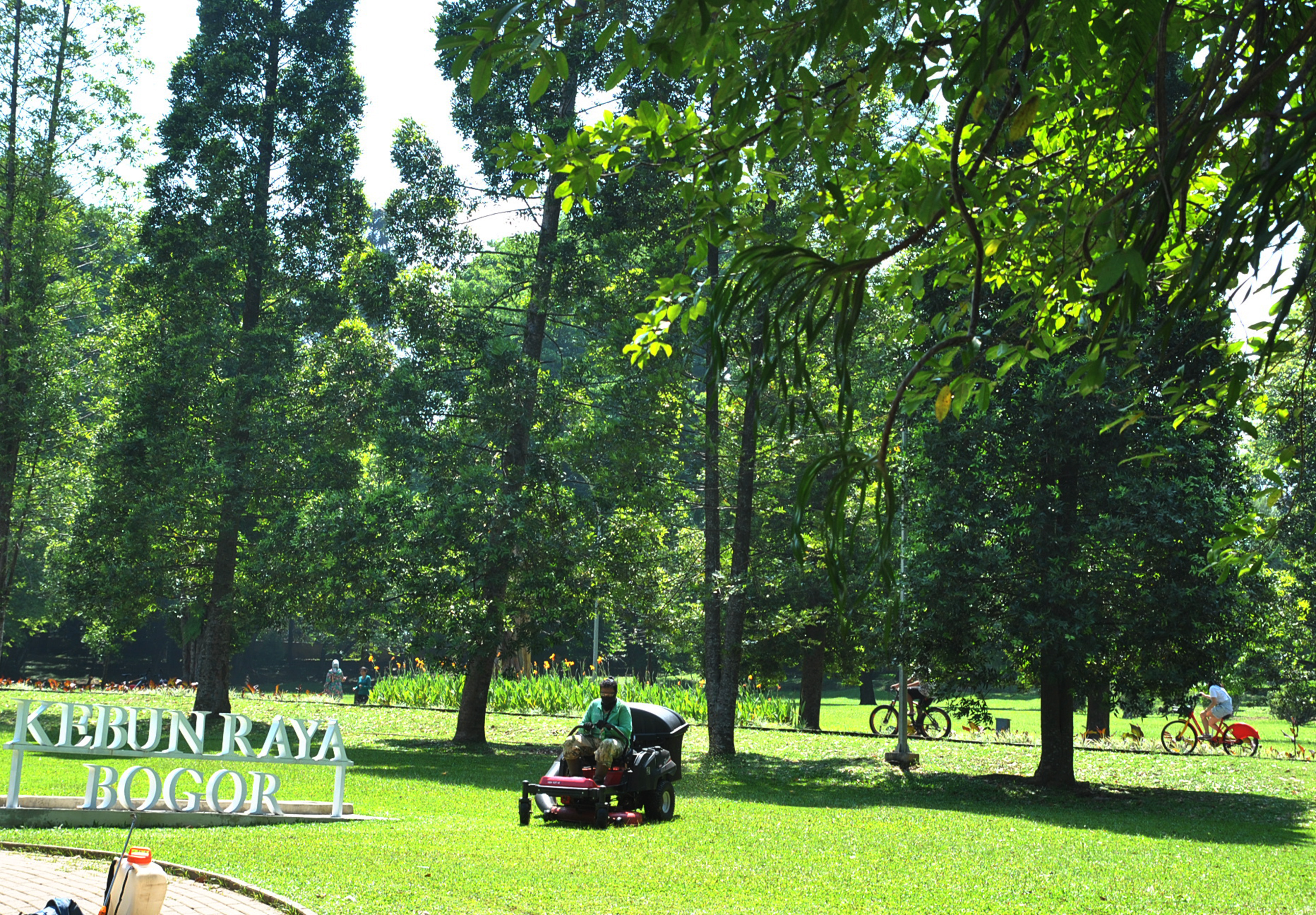 Kebun Raya Bogor, Jawa Barat