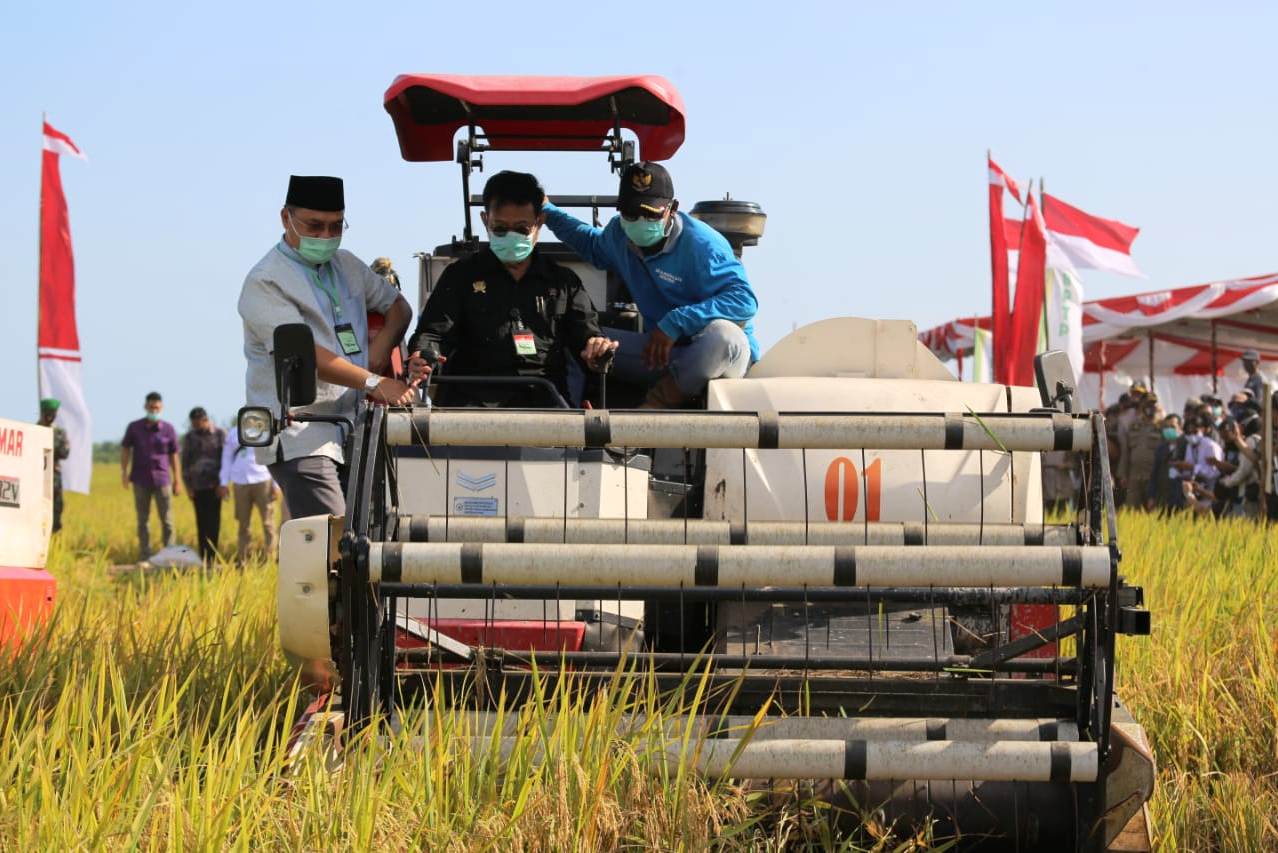 Indef Apresiasi Sektor Pertanian tetap Tumbuh di Kuartal III