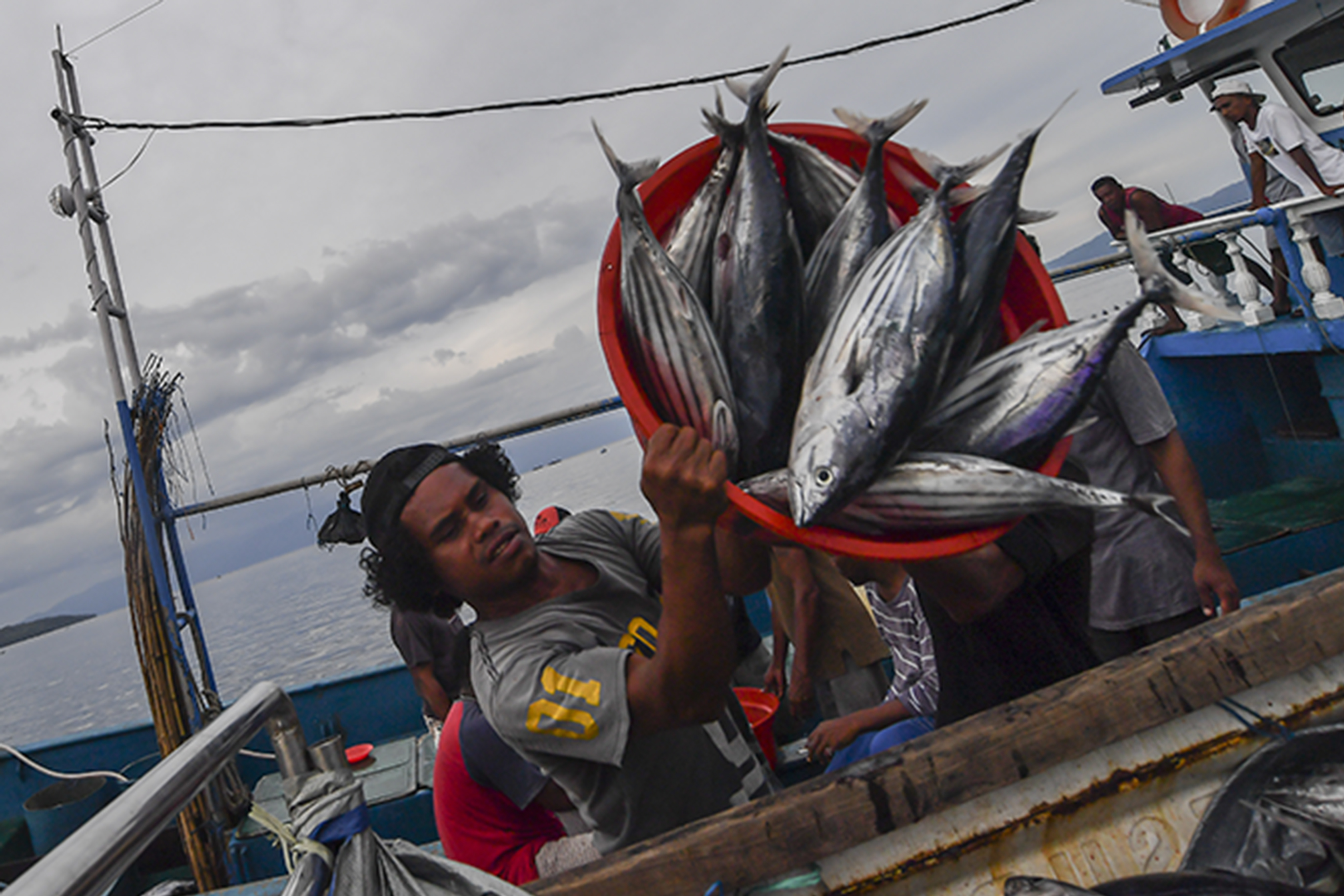 Nelayan melakukan bongkar muat hasil tangkapan laut di Pelabuhan Tulehu, Ambon, Maluku, Minggu (8/11/2020)