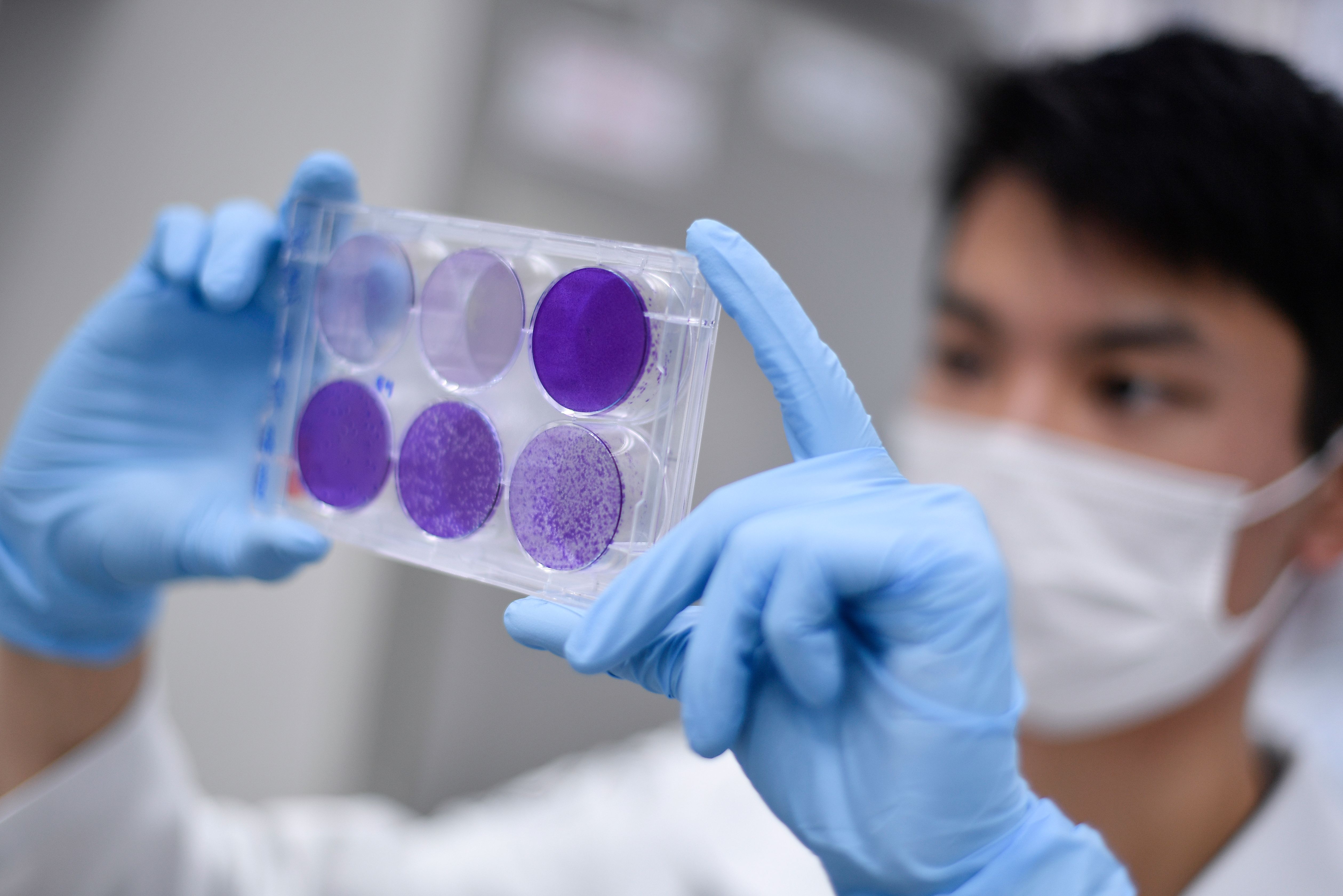 Peneliti memeriksa proses pengembangan vaksin covid-19 di Belo Horizonte, Minas Gerais, Brasil, Kamis (26/3).