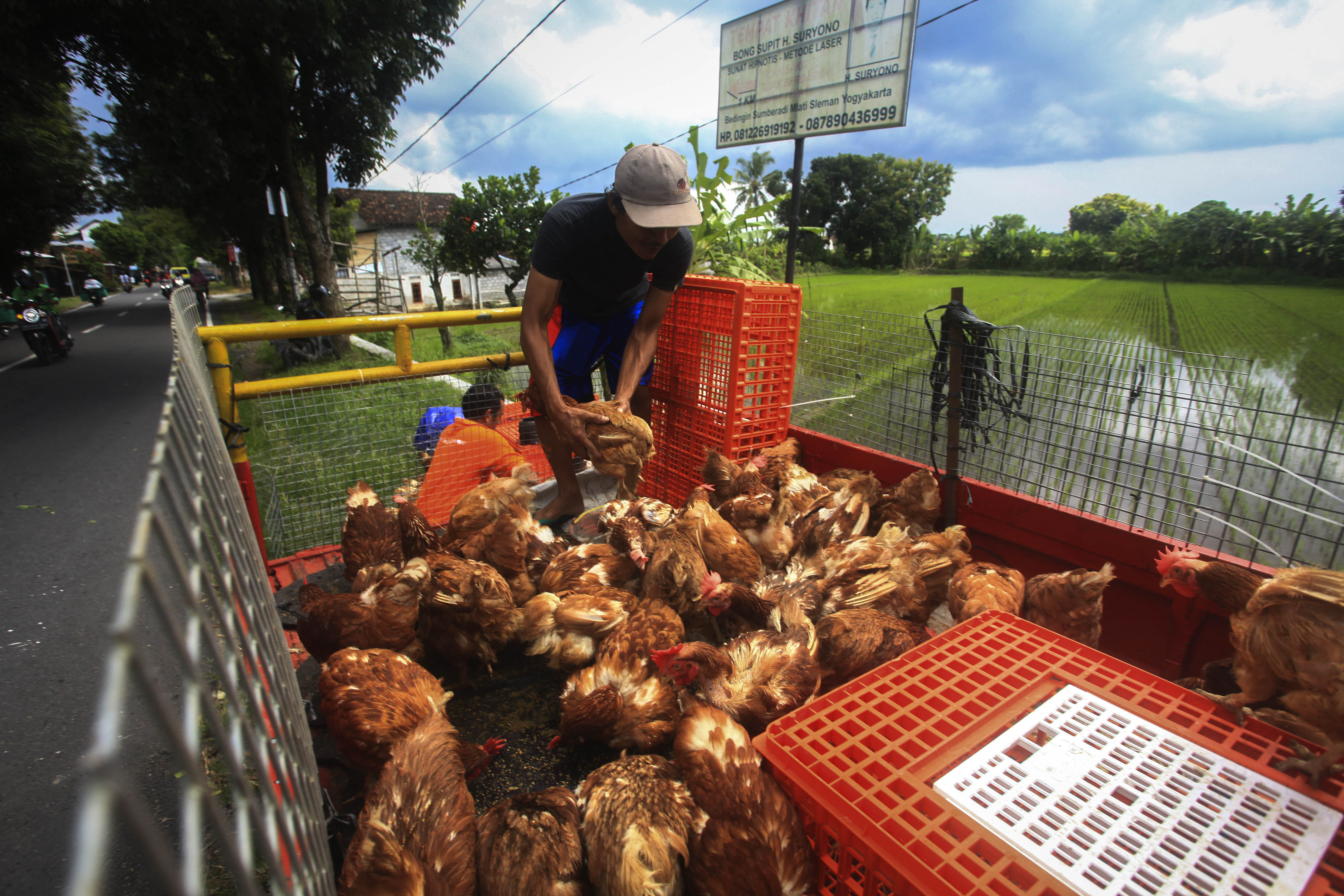  Seorang pedagang ayam sedang berjualan di Cebongan, Kabupaten Sleman, DI Yogyakarta. Harga daging ayam di Yogyakarta naik.