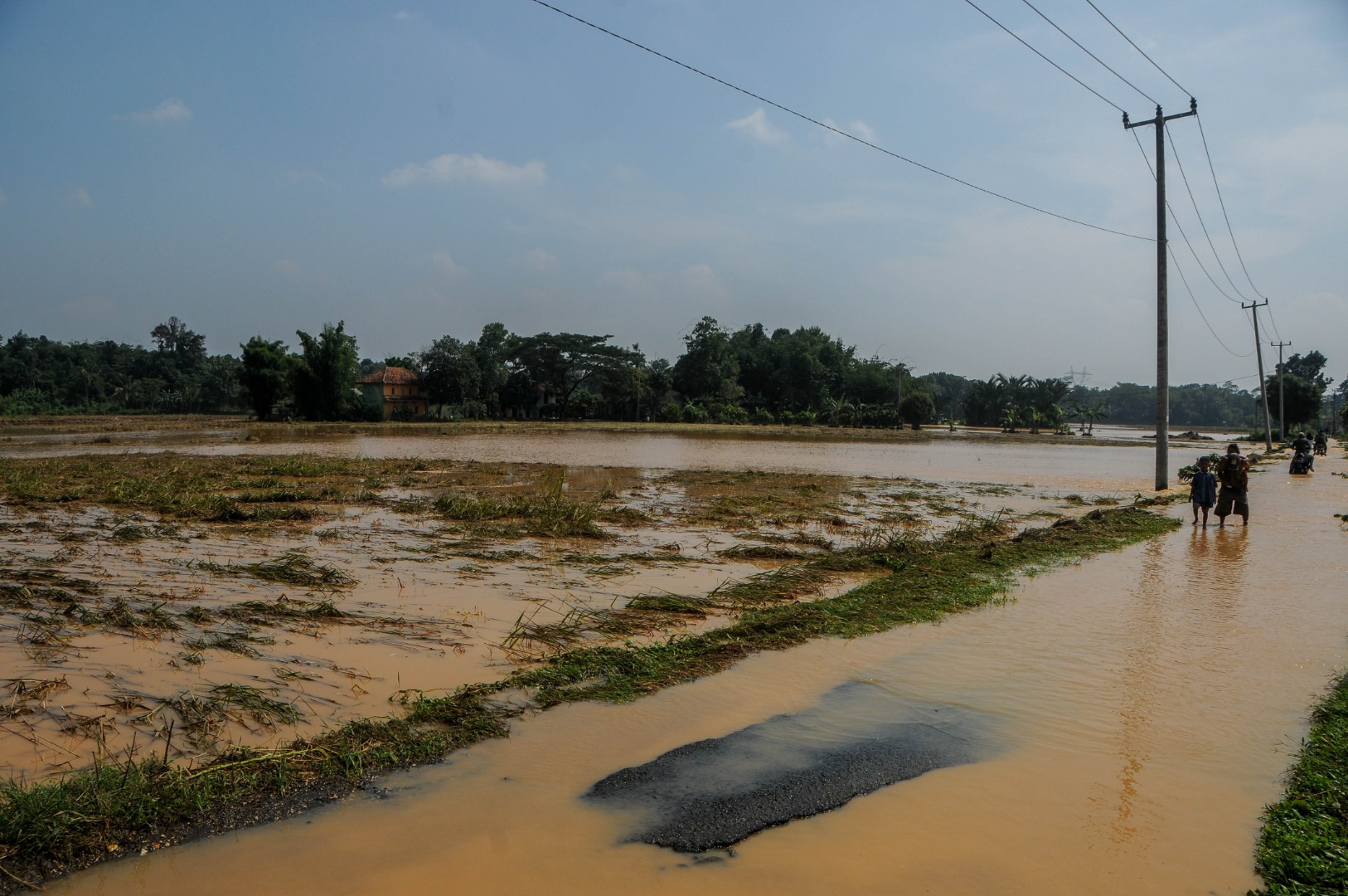 Warga melihat kondisi areal persawahan yang terendam banjir di Desa Gubukan Cibereum, Lebak, Banten, Kamis (14/5)/