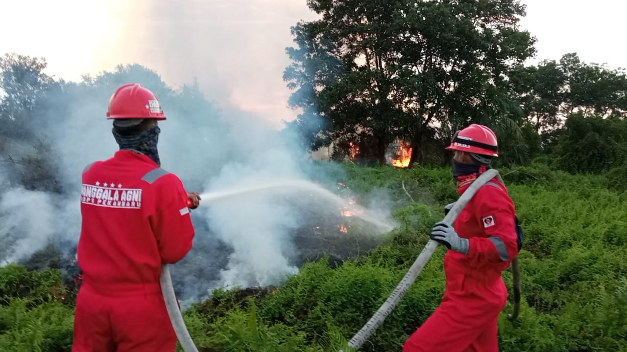 Petugas berusaha memadamkan karhutla di Riau.   