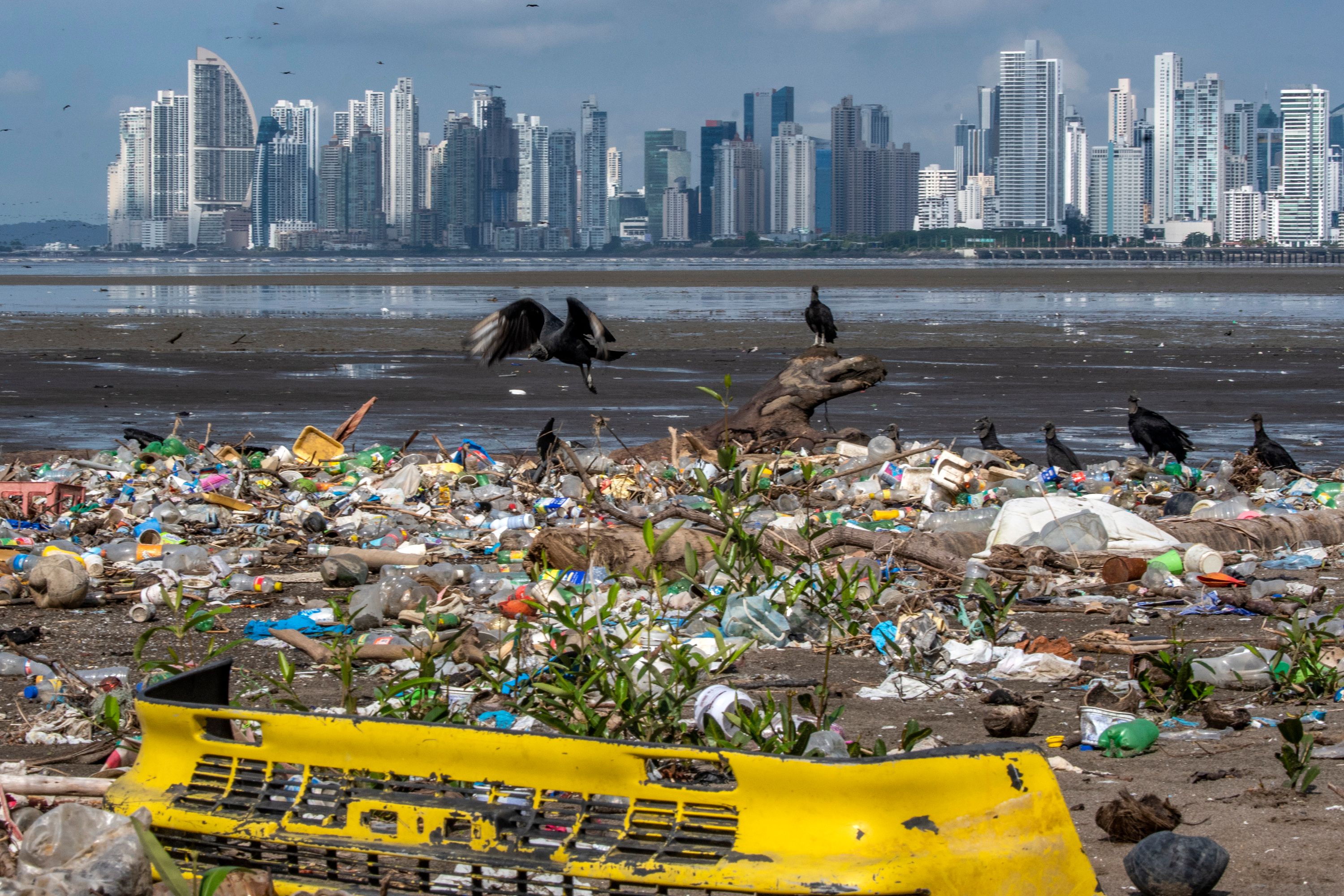 Tumpukan sampah plastik di sebuah pantai di Panama City